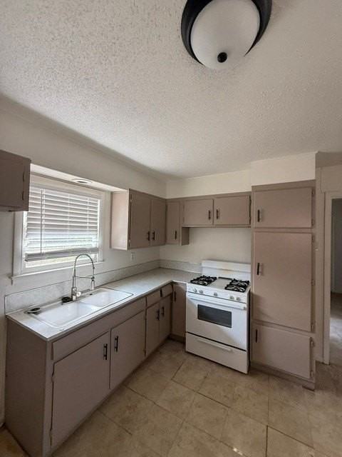 917 N Danville Dr - Photo 3 of 11