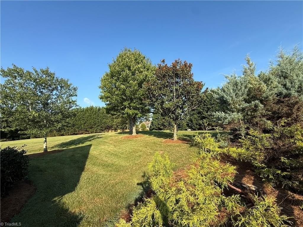 1747 Piney Grove Rd - Photo 3 of 21