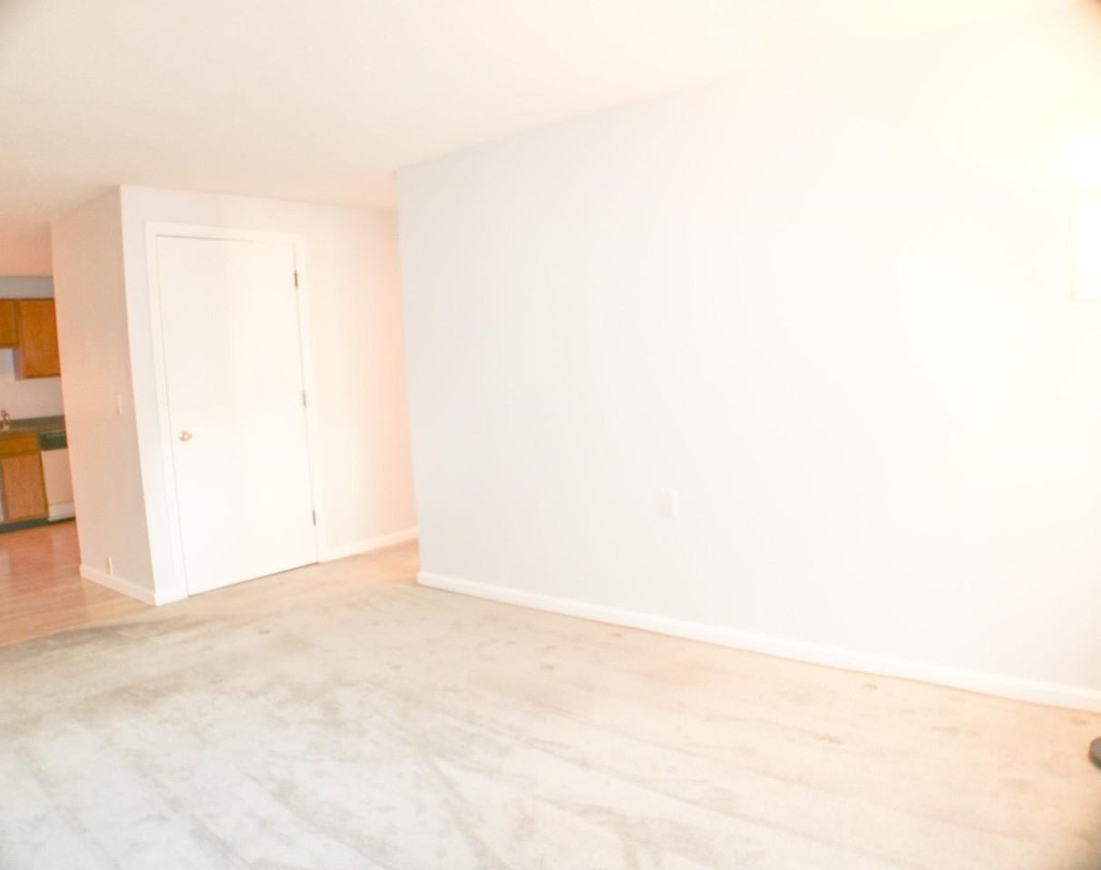 1702 White Cedar Blvd - Photo 6 of 20