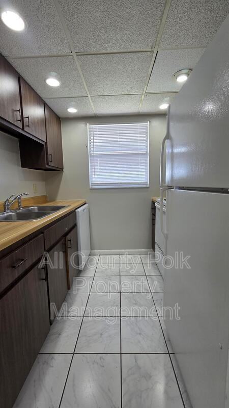 927 S Buena Vista Dr - Photo 6 of 14