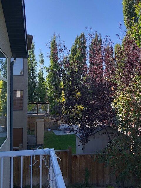 163 Evergreen Hts Sw - Photo 4 of 8