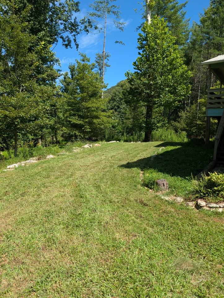 562 Jake's Mountain Road - Photo 4 of 29