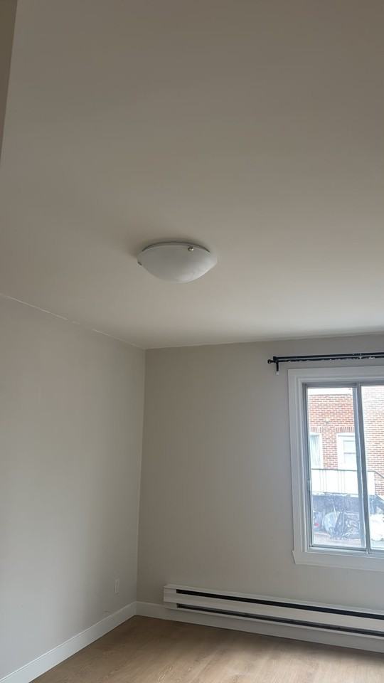 228 Rue Toulouse #6 — photo 3