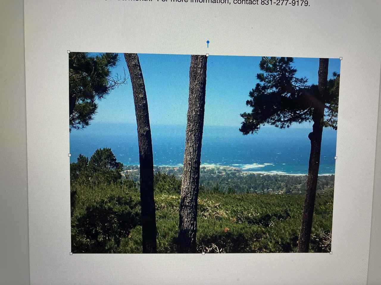 14 Ocean Pines Ln - Photo 2 of 11