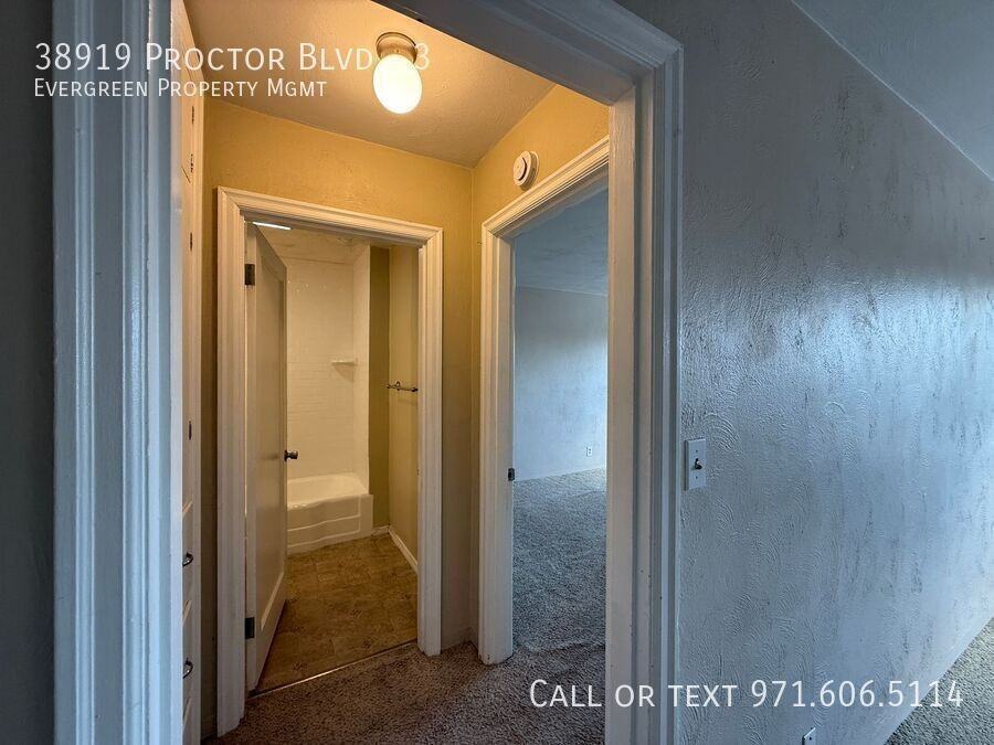 38919 Proctor Blvd #3 - Photo 4 of 10