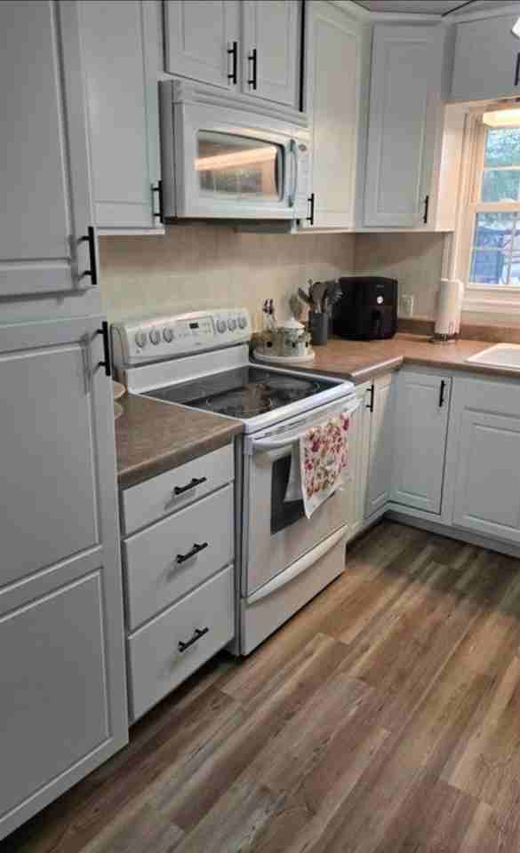 730 N Webster Ave - Photo 4 of 13