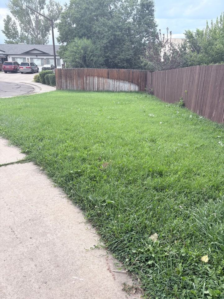420 S Fenton St - Photo 3 of 20