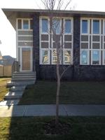 featured image of 592 Mahogany Blvd Se