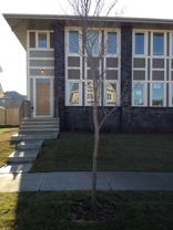 592 Mahogany Blvd Se - Photo 1 of 1