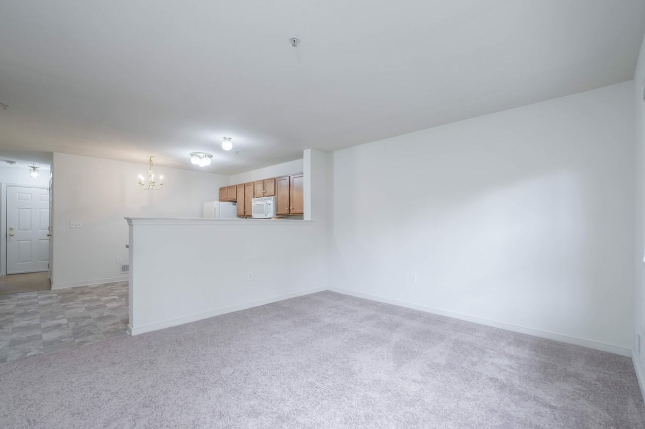 519 Talon Dr - Photo 3 of 15