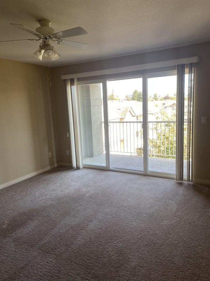 33353 Marshall Road #407 - Photo 4 of 9