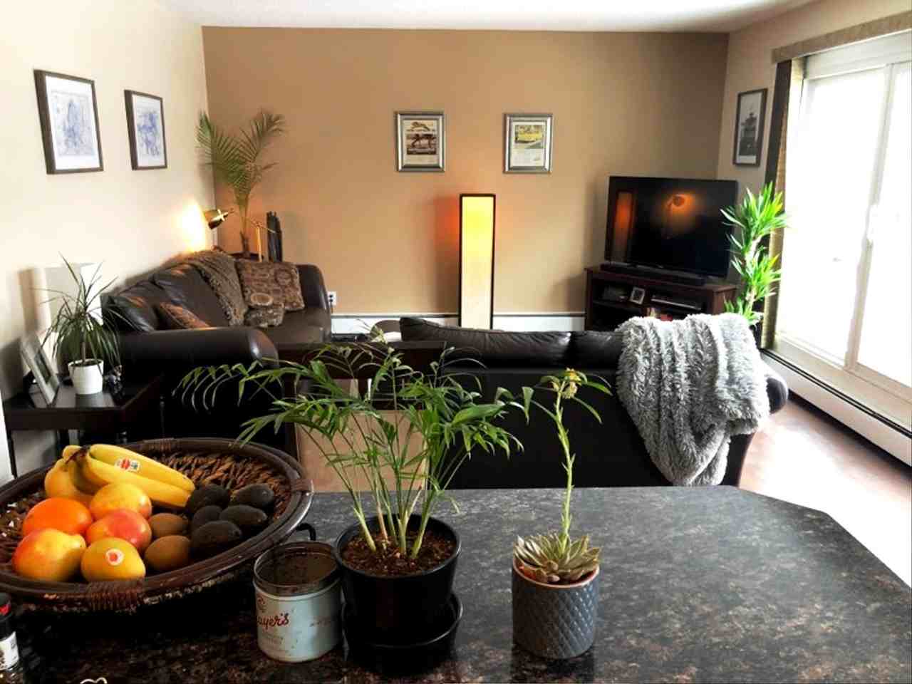 10746 80 Ave Nw - Photo 5 of 12