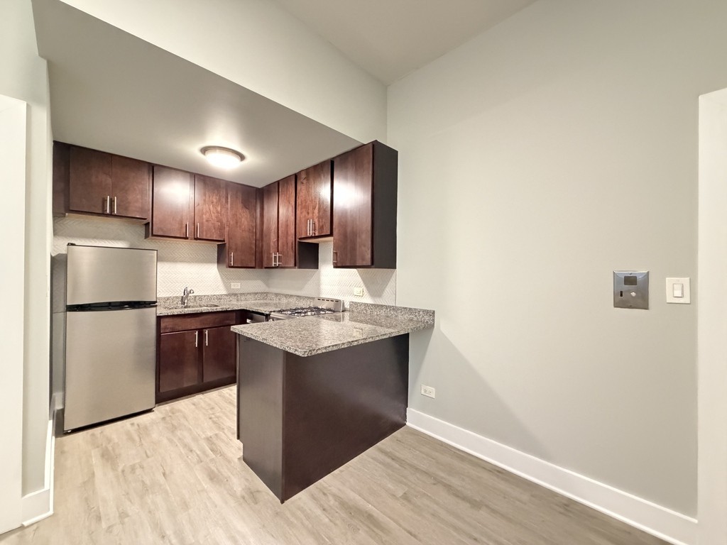 1435 N Dearborn St #3B - Photo 2 of 21