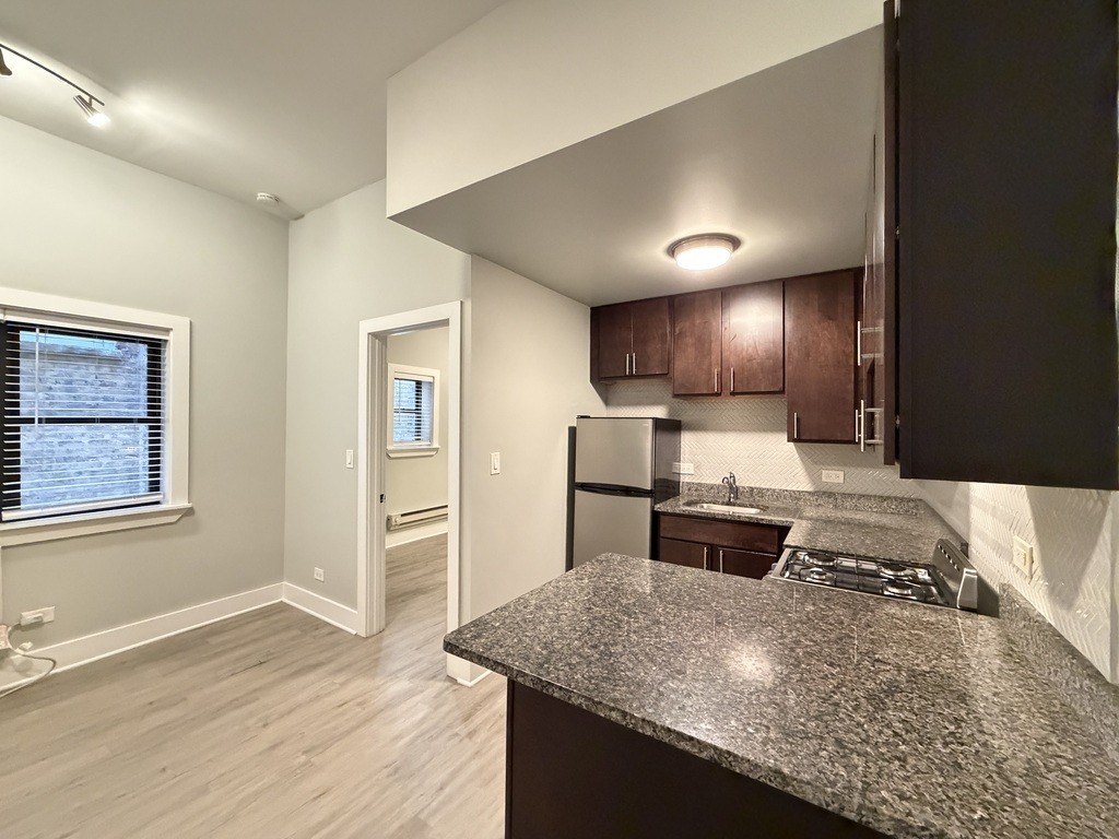 1435 N Dearborn St #3B - Photo 4 of 21