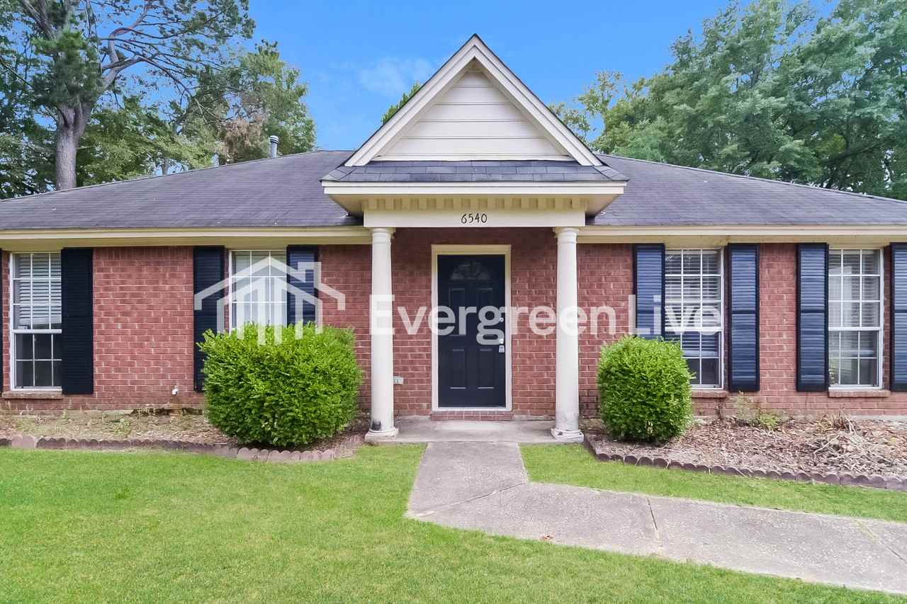 6540 Juniper Tree Ln - Photo 4 of 14