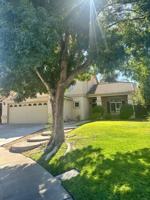 featured image of 789 Sparrow Ct