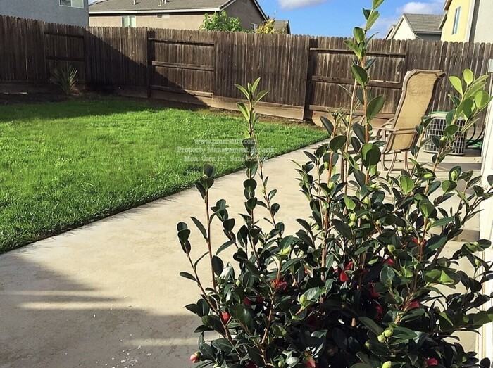 3547 Gold Coast Ct - Photo 6 of 6