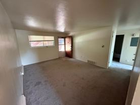 225Terry - Photo 1 of 1