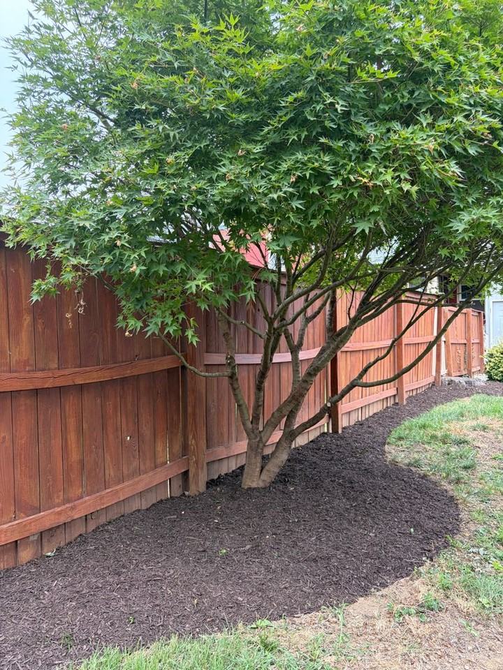 932 Hill Ave - Photo 4 of 4
