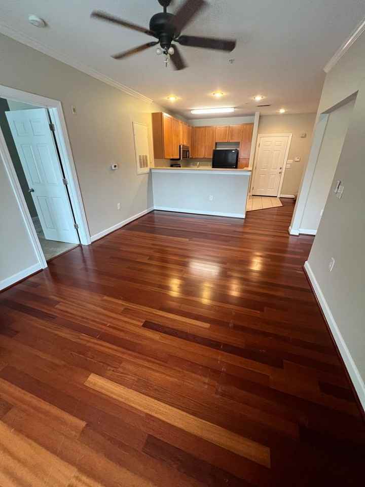 2808 Bloomfield Ln - Photo 4 of 22