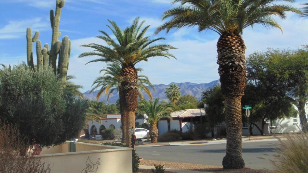 161 E El Valle - Photo 4 of 18