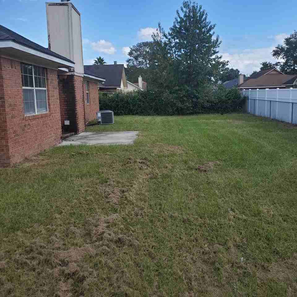 953 Wedgewood Way - Photo 4 of 11