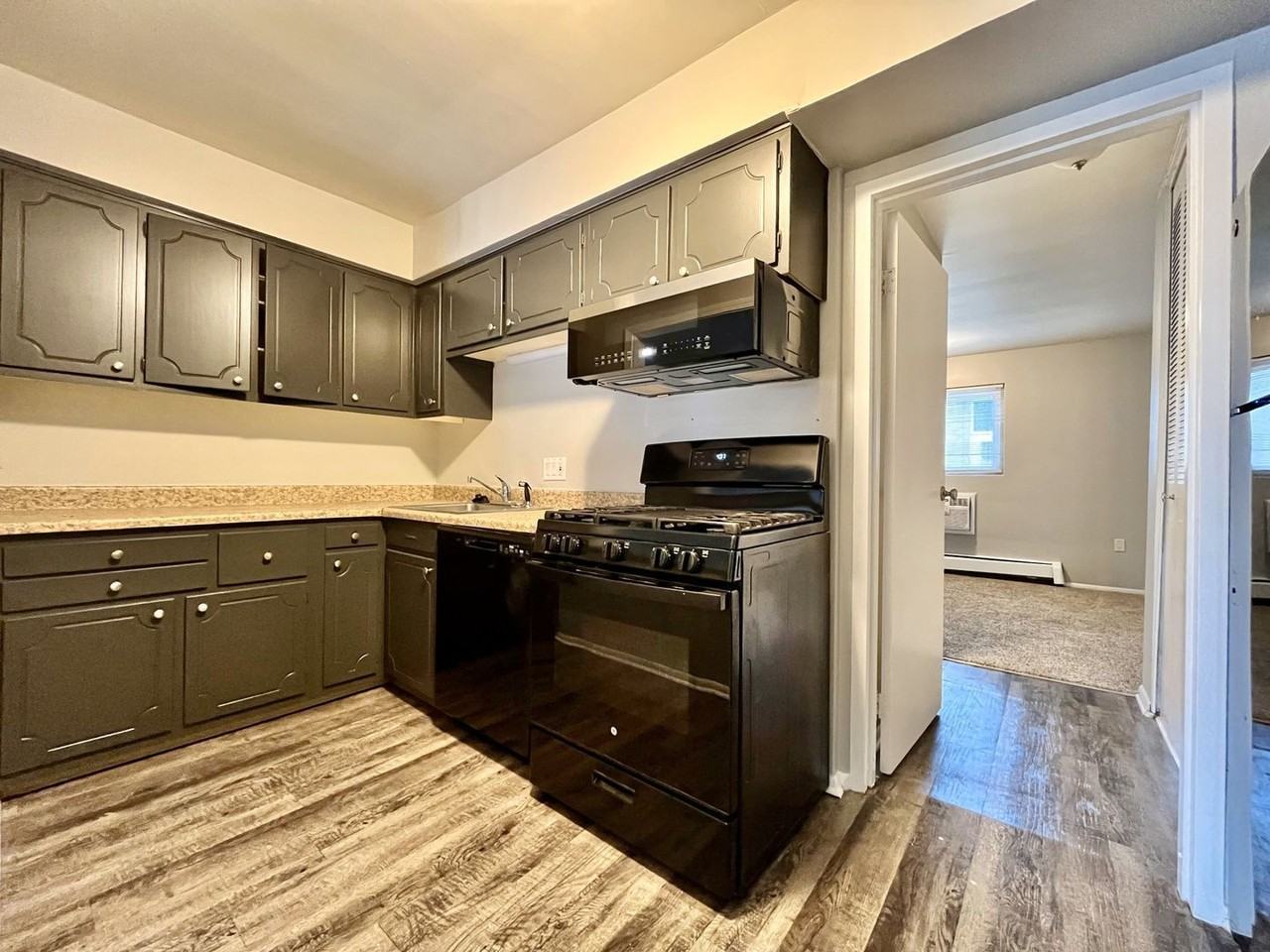 508 Woodridge St Ne #19 - Photo 5 of 11
