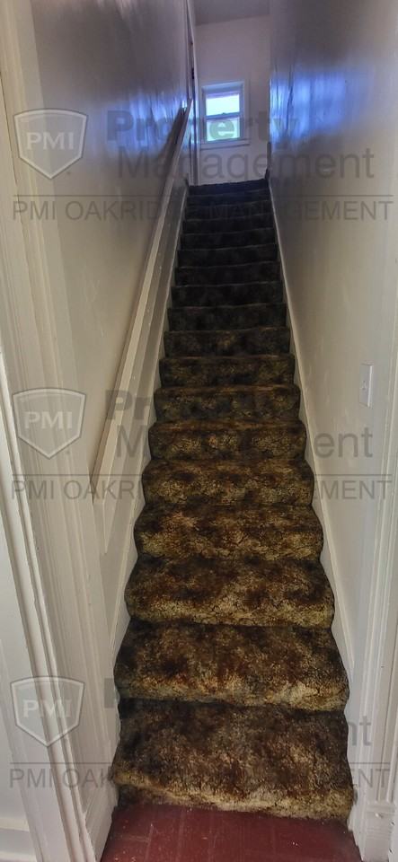 227 1/2 S Downing St - Photo 7 of 9