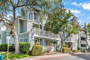 37311 Aspenwood Cmn #101 - Photo 1 of 1