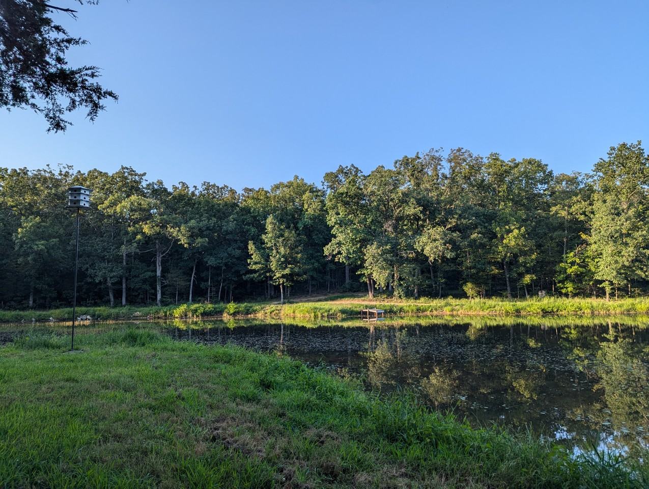 28802 Hug Point Ln #B - Photo 5 of 18