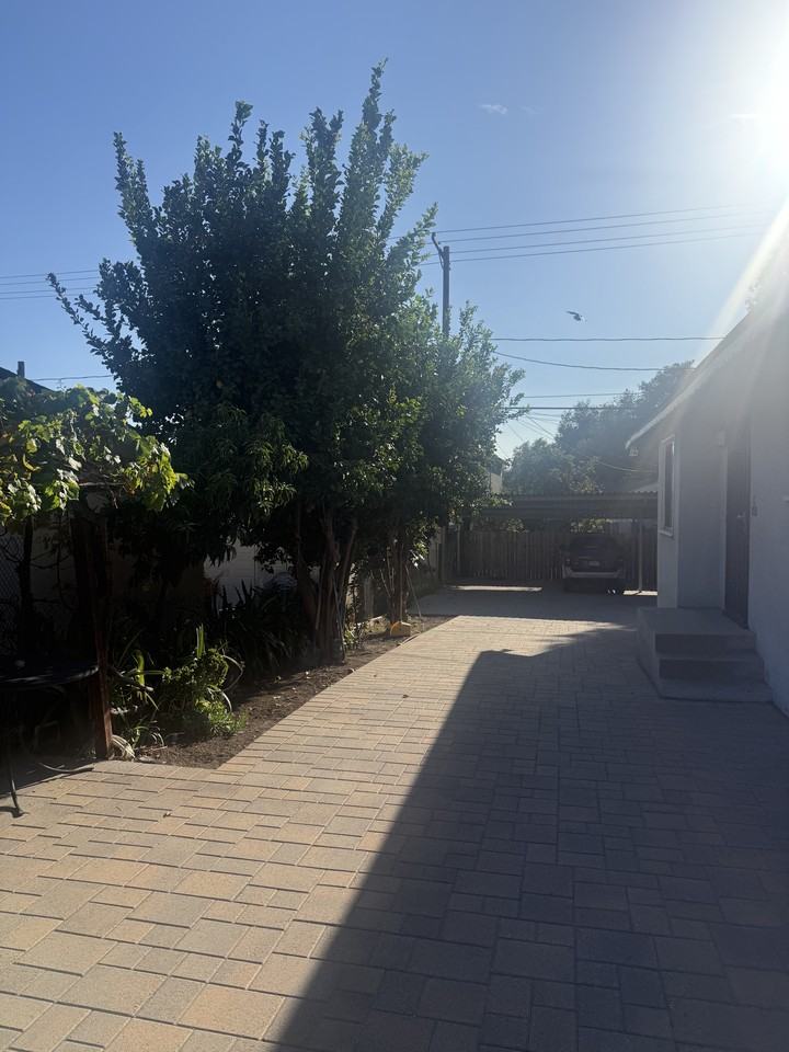 229 N Buena Vista St #C - Photo 3 of 23