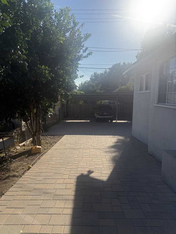 229 N Buena Vista St #C - Photo 6 of 23