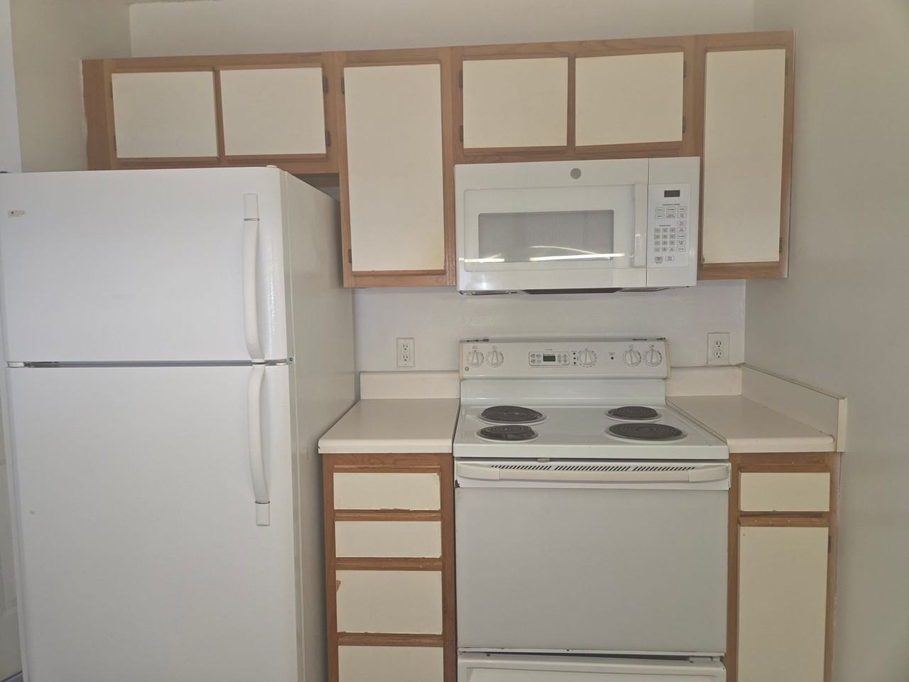 1440 Collegiate Cir - Photo 4 of 13