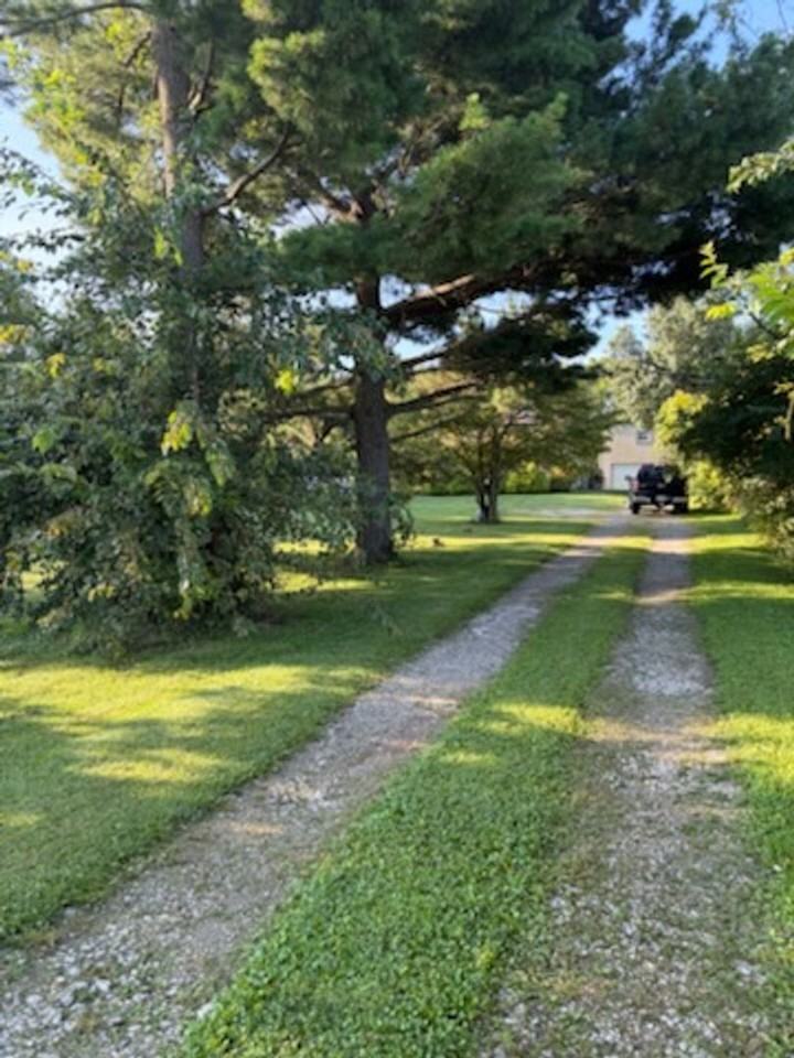 4163 E Centerville Rd - Photo 6 of 14