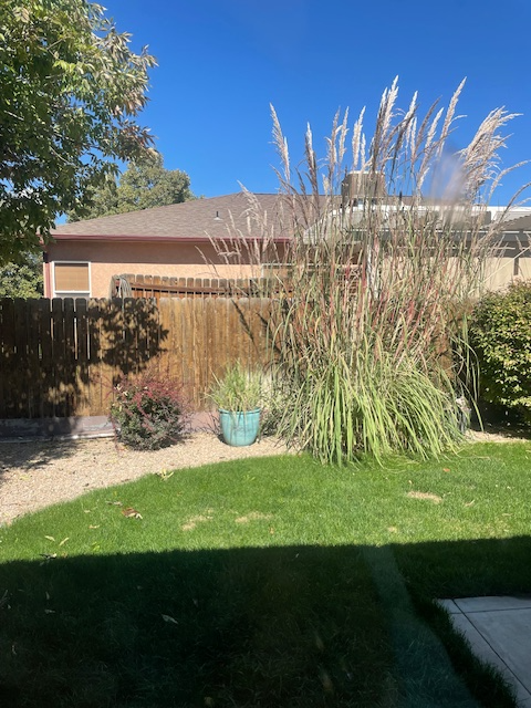 2514 Onyx Dr - Photo 6 of 9
