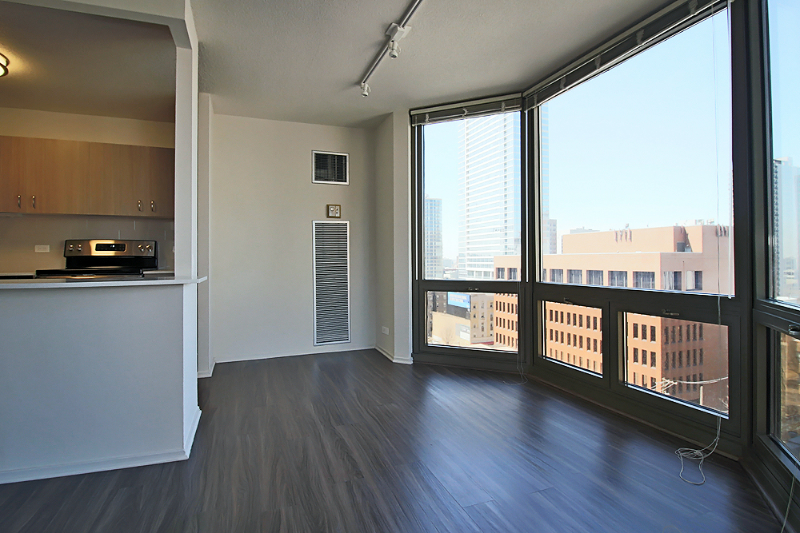 1113 N Dearborn St - Photo 3 of 15