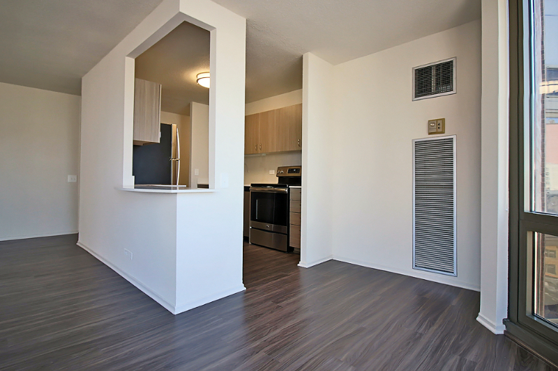 1113 N Dearborn St - Photo 5 of 15