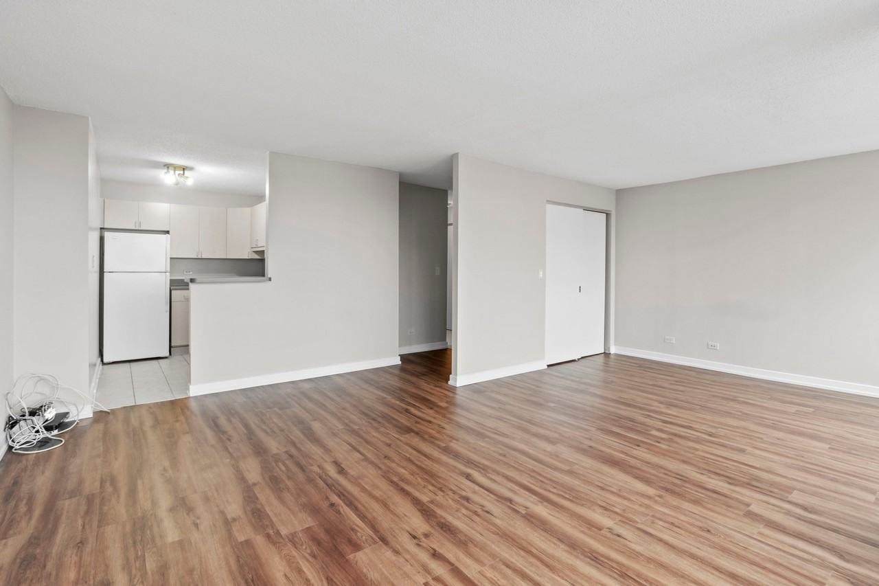 1224 S Michigan Ave - Photo 3 of 19