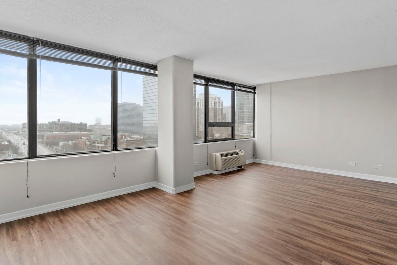 1224 S Michigan Ave - Photo 4 of 19