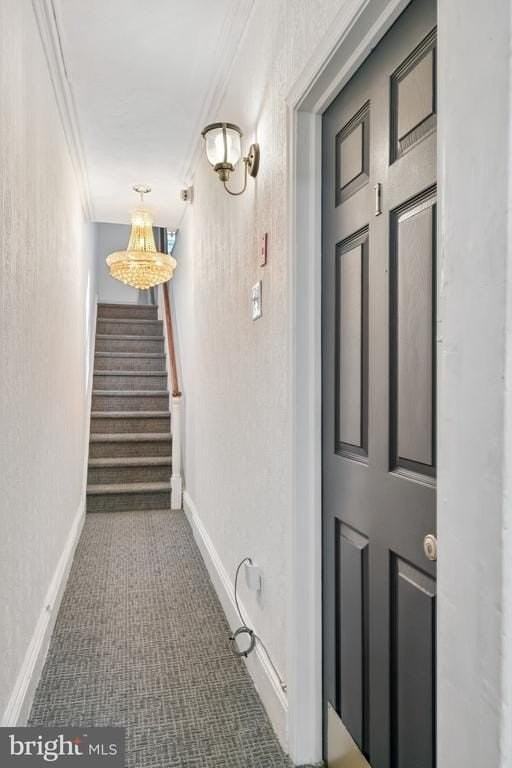 320 S Juniper St - Photo 3 of 31