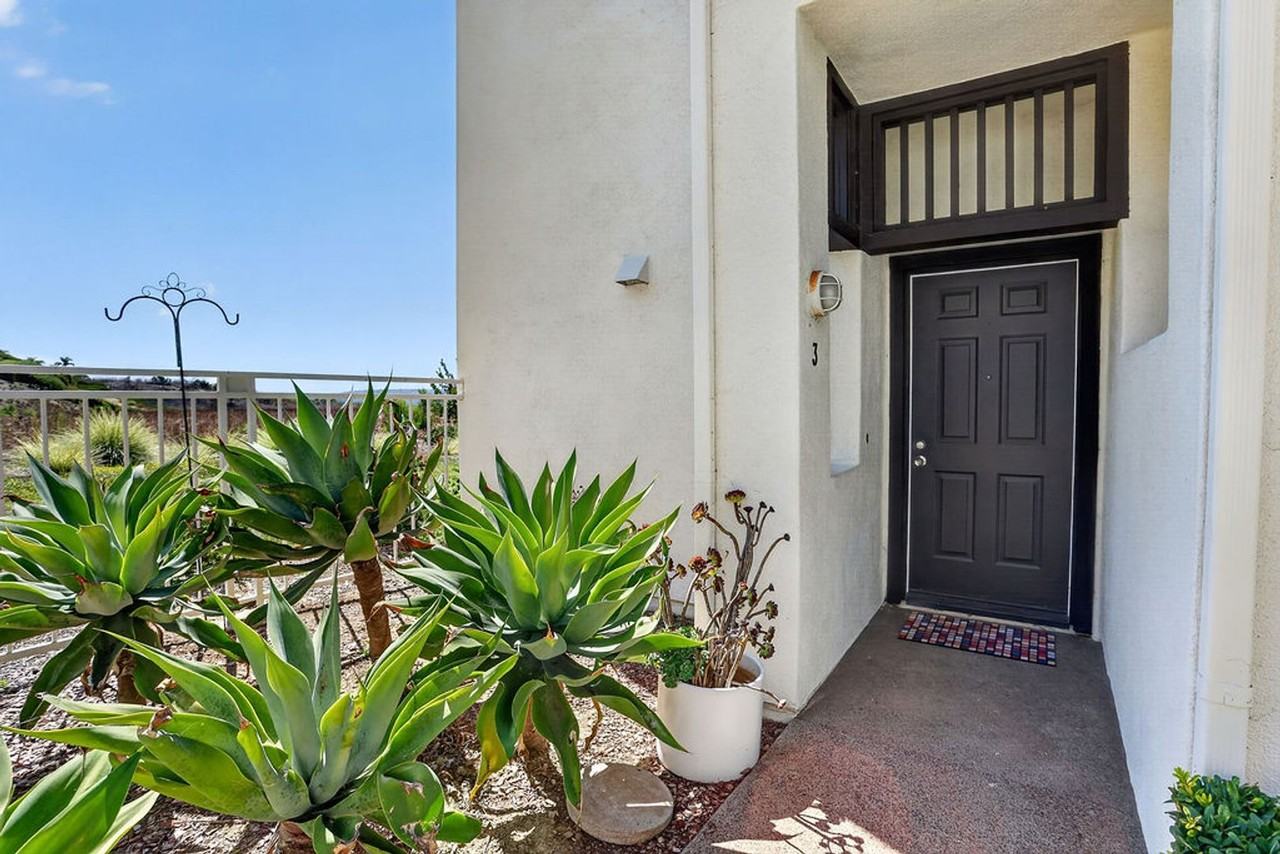 3 Caribbean Ct #226 - Photo 4 of 31