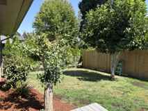 1118 Hemlock St Nw - Photo 1 of 1