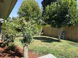featured image of 1118 Hemlock St Nw