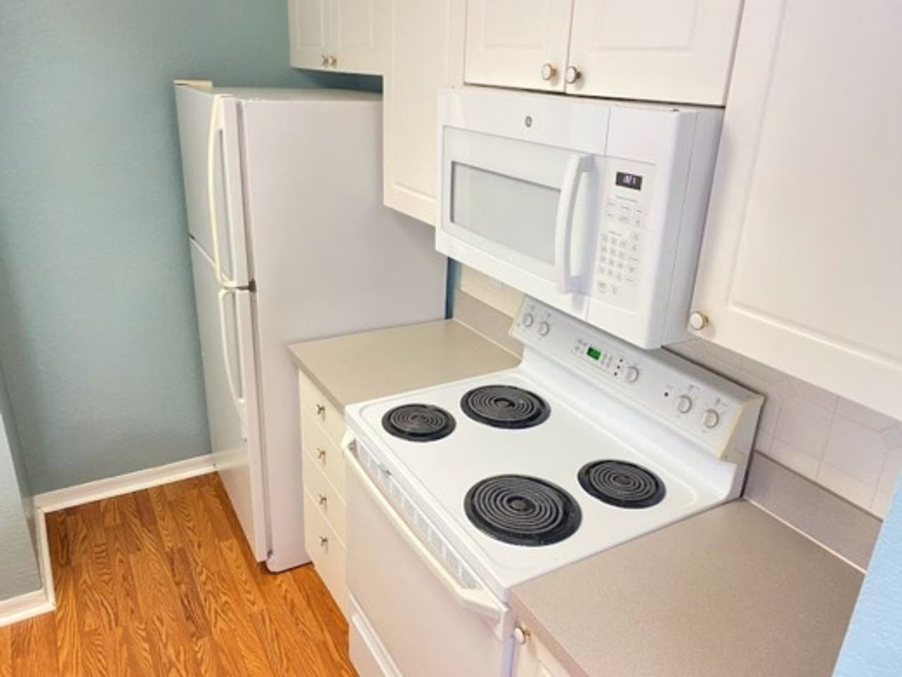 4201 Woodstorks Walk Way #3111 - Photo 4 of 19