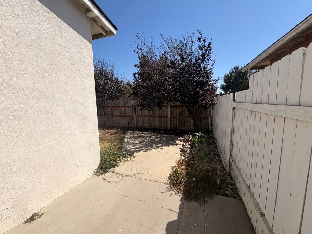 2150 Paso Robles St - Photo 5 of 12