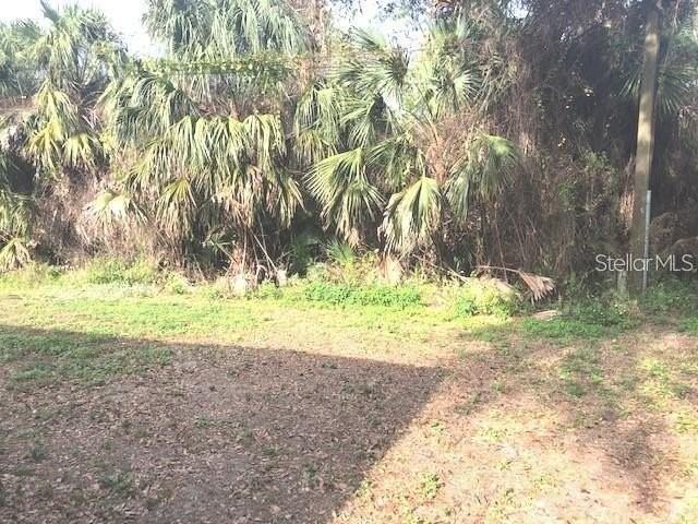 232 Bamboo Dr #A - Photo 4 of 25