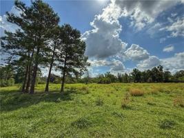 featured image of 43058 Happywoods Rd