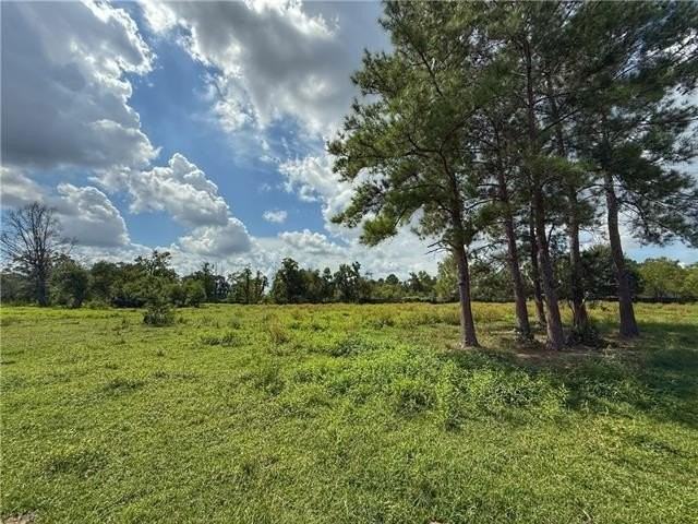 43058 Happywoods Rd - Photo 2 of 11
