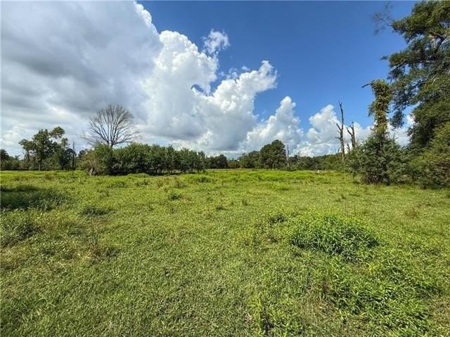 43058 Happywoods Rd - Photo 3 of 11