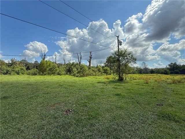 43058 Happywoods Rd - Photo 4 of 11
